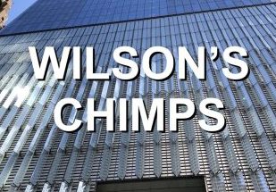 Zebu: "Wilson's Chimps"