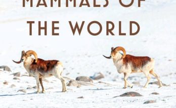 mountain mammals of the world